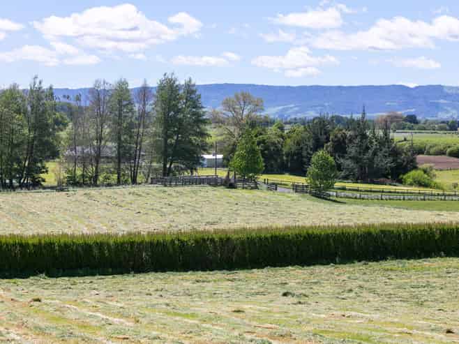 231 Matai Road, Matamata