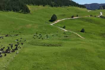 337 Mill Road, Kawakawa