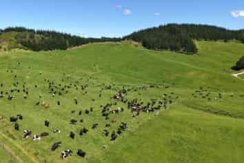 337 Mill Road, Kawakawa