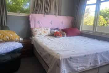 8 Windsor Street, Allenton