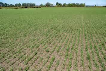 1033 Boundary Road, Ashburton