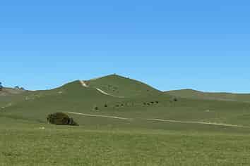 740D Tainui Road, Hoe-O-Tainui