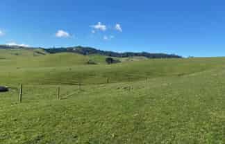 740D Tainui Road, Hoe-O-Tainui