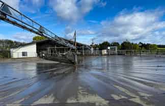 473 Clifden Gorge Road, Eastern Bush