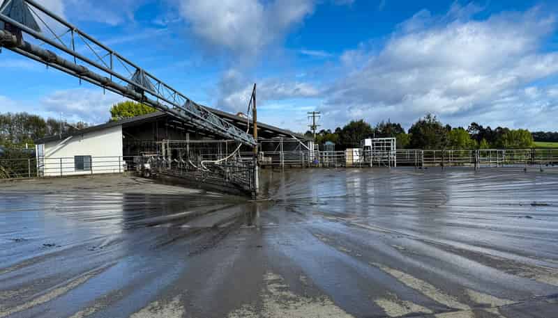 473 Clifden Gorge Road, Eastern Bush