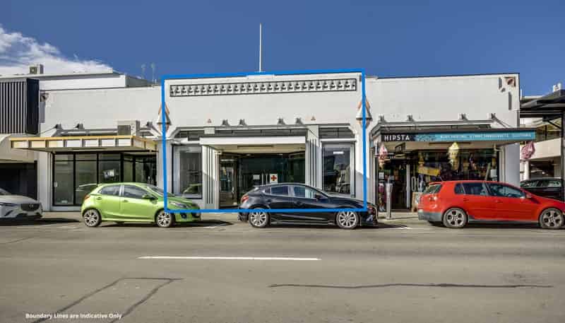 128 Dalton Street, Napier South