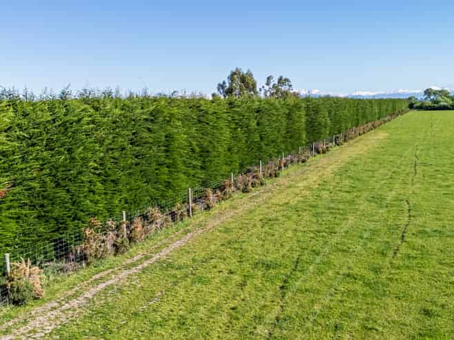 439 Dawsons Road, Ashburton