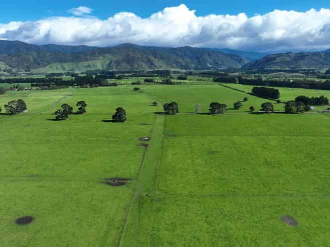 151 Woodside Road, Greytown