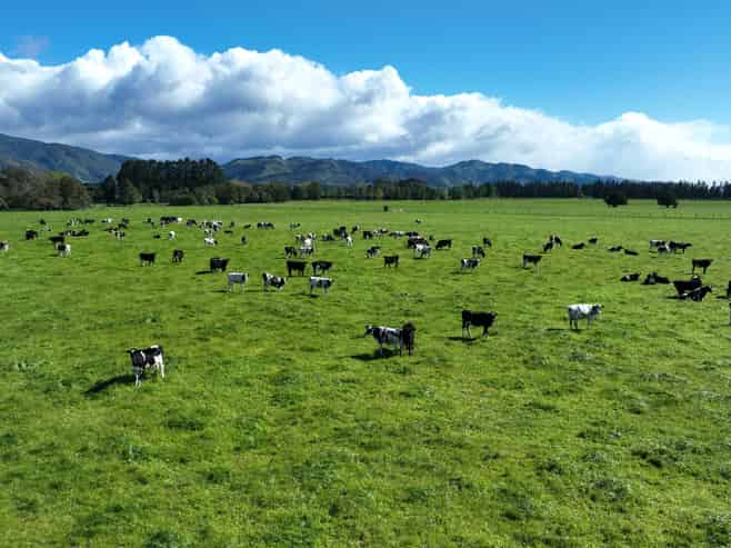 151 Woodside Road, Greytown