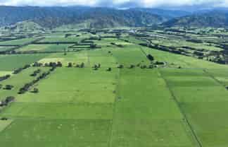 151 Woodside Road, Greytown