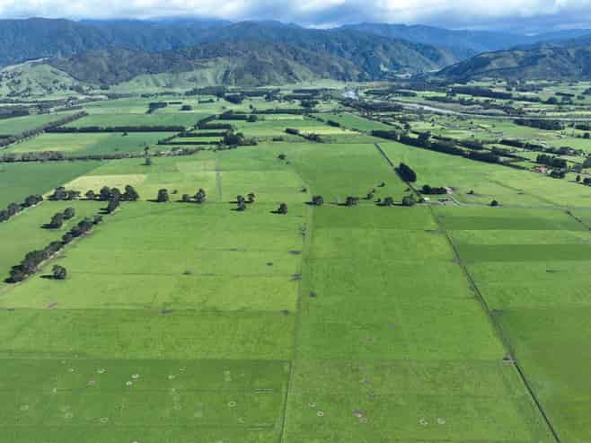 151 Woodside Road, Greytown