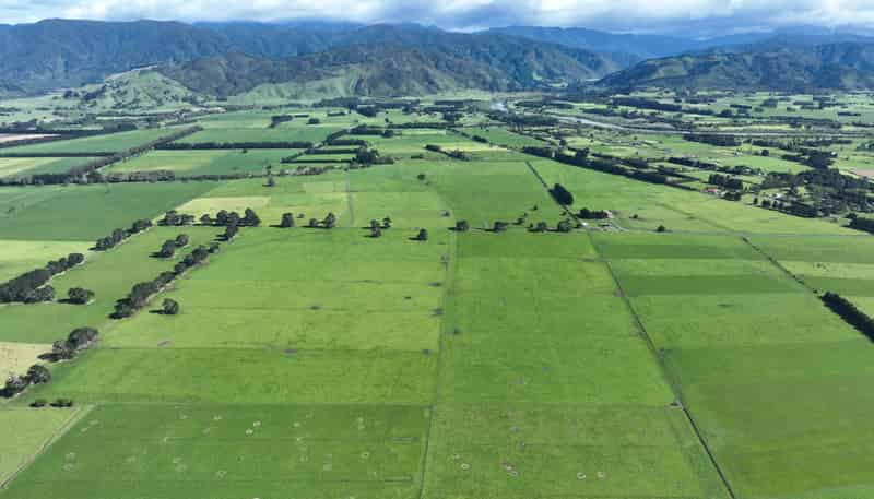 151 Woodside Road, Greytown