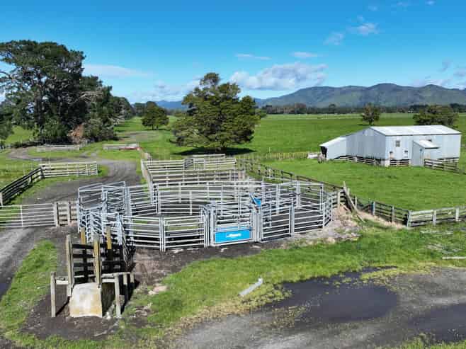 151 Woodside Road, Greytown