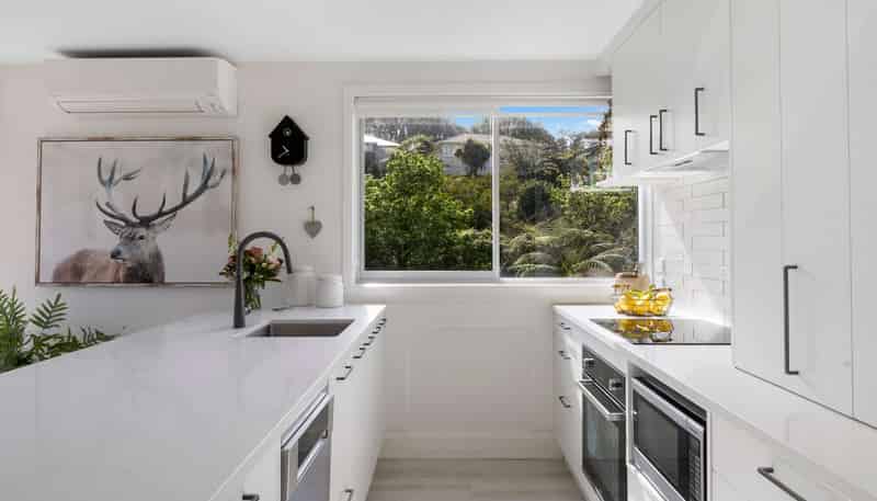 14/75 Carrington Street, Vogeltown