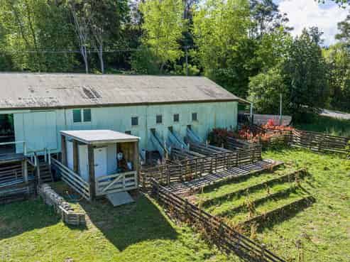 Lot 4 Old Coach Road, Te Pohue