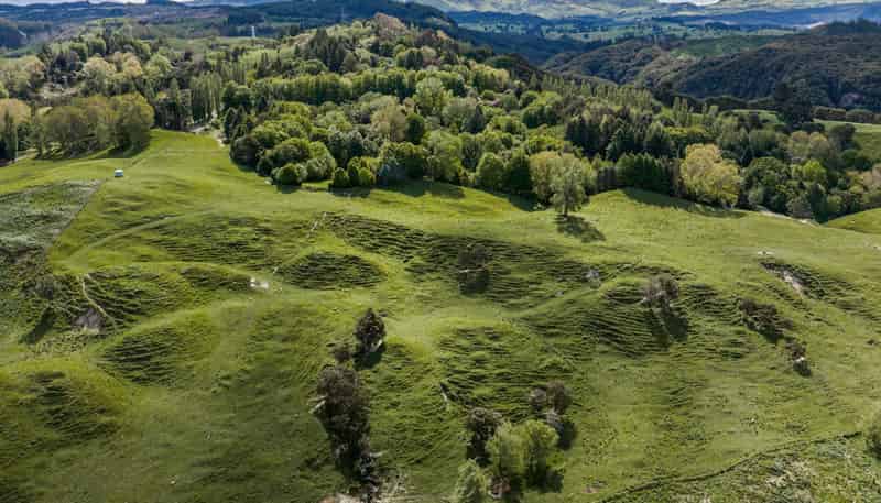 558 Old Coach Road, Te Pohue