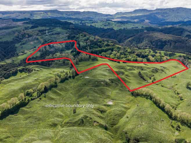 558 Old Coach Road, Te Pohue