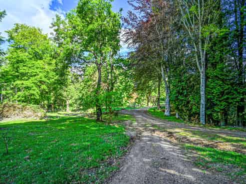 558 Old Coach Road, Te Pohue