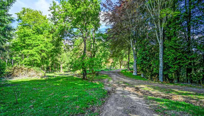 558 Old Coach Road, Te Pohue