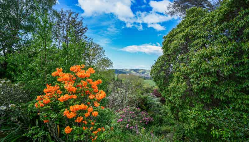 558 Old Coach Road, Te Pohue