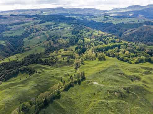 558 Old Coach Road, Te Pohue
