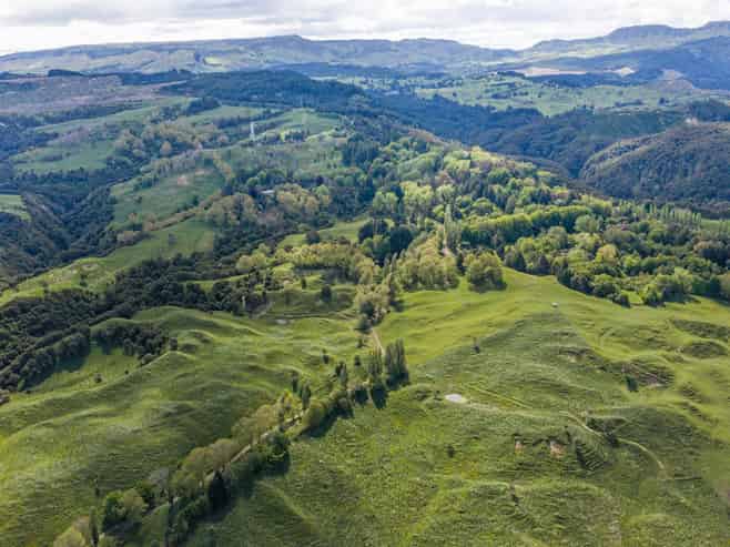 558 Old Coach Road, Te Pohue