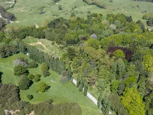 Lot 3 Old Coach Road, Te Pohue