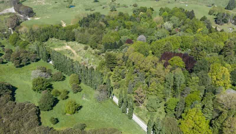 Lot 3 Old Coach Road, Te Pohue