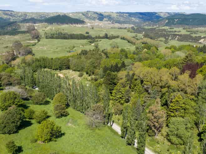 Lot 3 Old Coach Road, Te Pohue