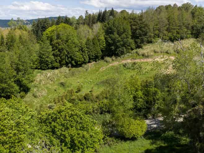 Lot 3 Old Coach Road, Te Pohue