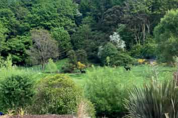 151B Norwood Street, NORMANBY