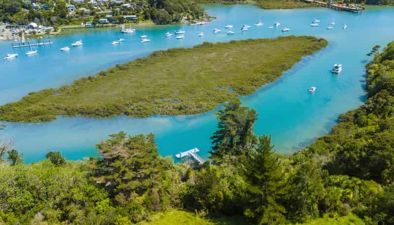 90 Cedar Terrace, Stanmore Bay