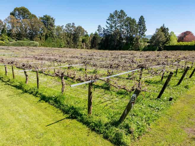 668 Pyes Pa Road, Pyes Pa