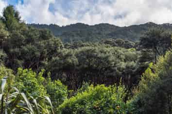 300 King Road, Mangawhai