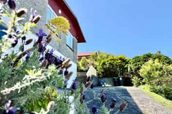 1 Hunt Street, Andersons Bay