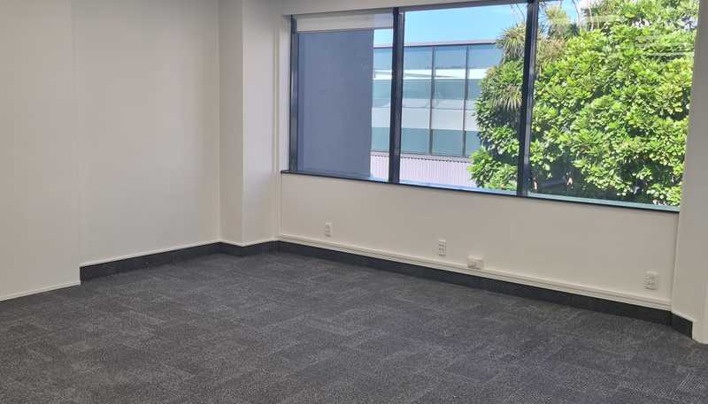 9A Hargreaves Street , Freemans Bay