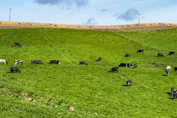 316 McDonald Road, Pukerau