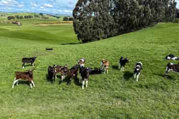 316 McDonald Road, Pukerau