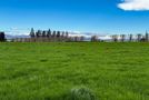 316 Mcdonald Road, Pukerau, Gore, Southland