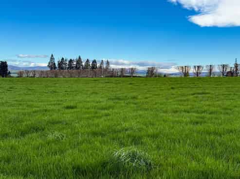 316 Mcdonald Road, Pukerau