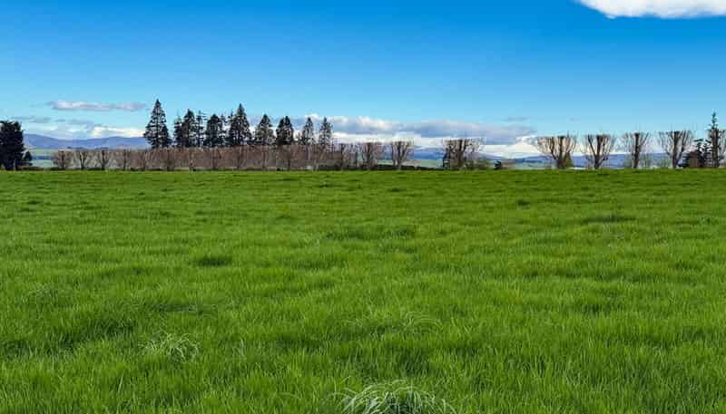 316 McDonald Road, Pukerau