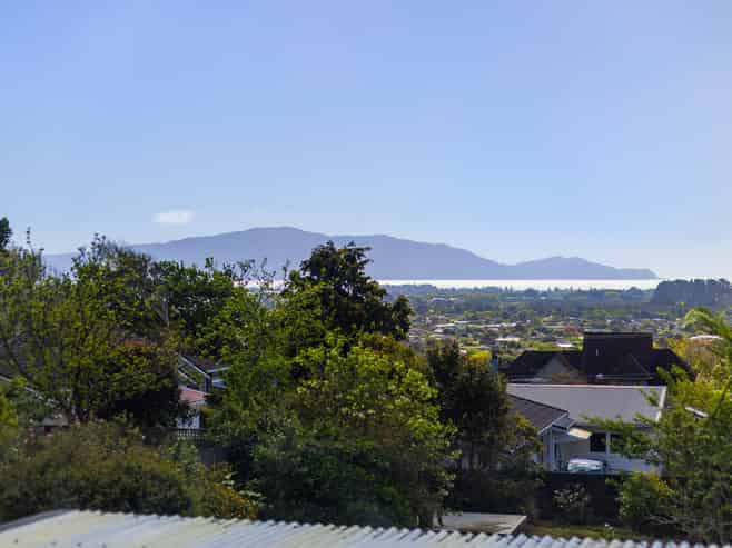 28 Kotare Street, Waikanae