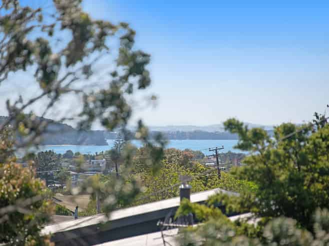 46 Colwill Road, Massey