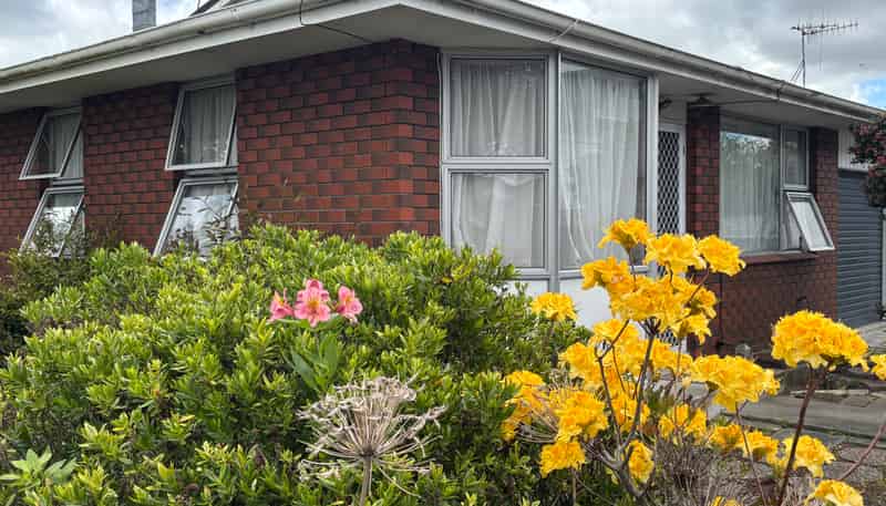 1/573 Church Street, Palmerston North Central