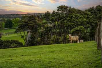 153 Waikoukou Valley Road, Waimauku