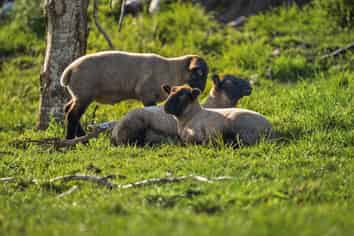 153 Waikoukou Valley Road, Waimauku