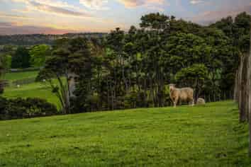 153 Waikoukou Valley Road, Waimauku