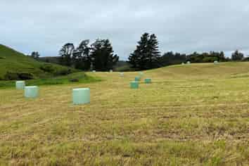 163A Ohanga Road, Onaero