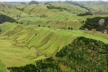 124 Haku Road, Mangaotaki