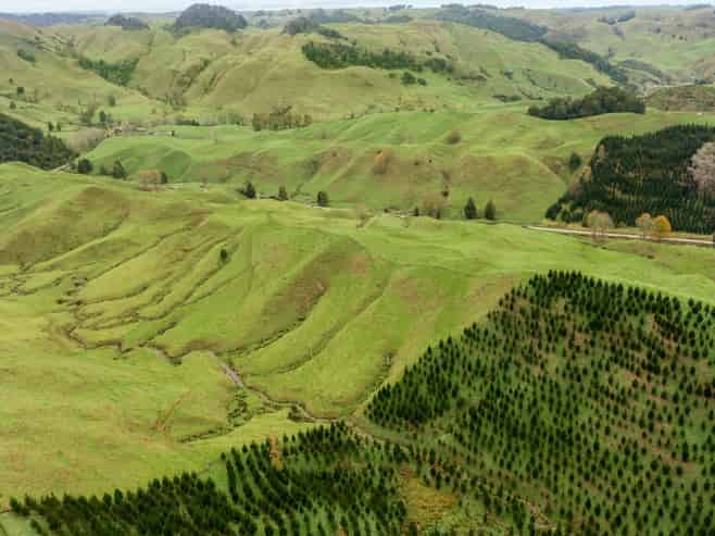 124 Haku Road, Mangaotaki